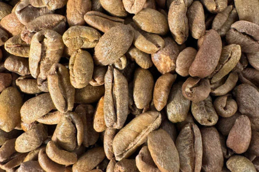 Liberica Coffee Beans: Taste, Origins, and Why It’s So Rare