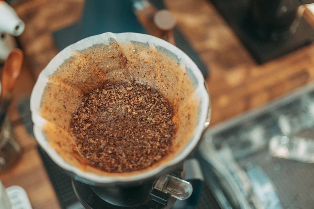 From Waste to Wonder: The Hidden Potential of Used Coffee Pulp