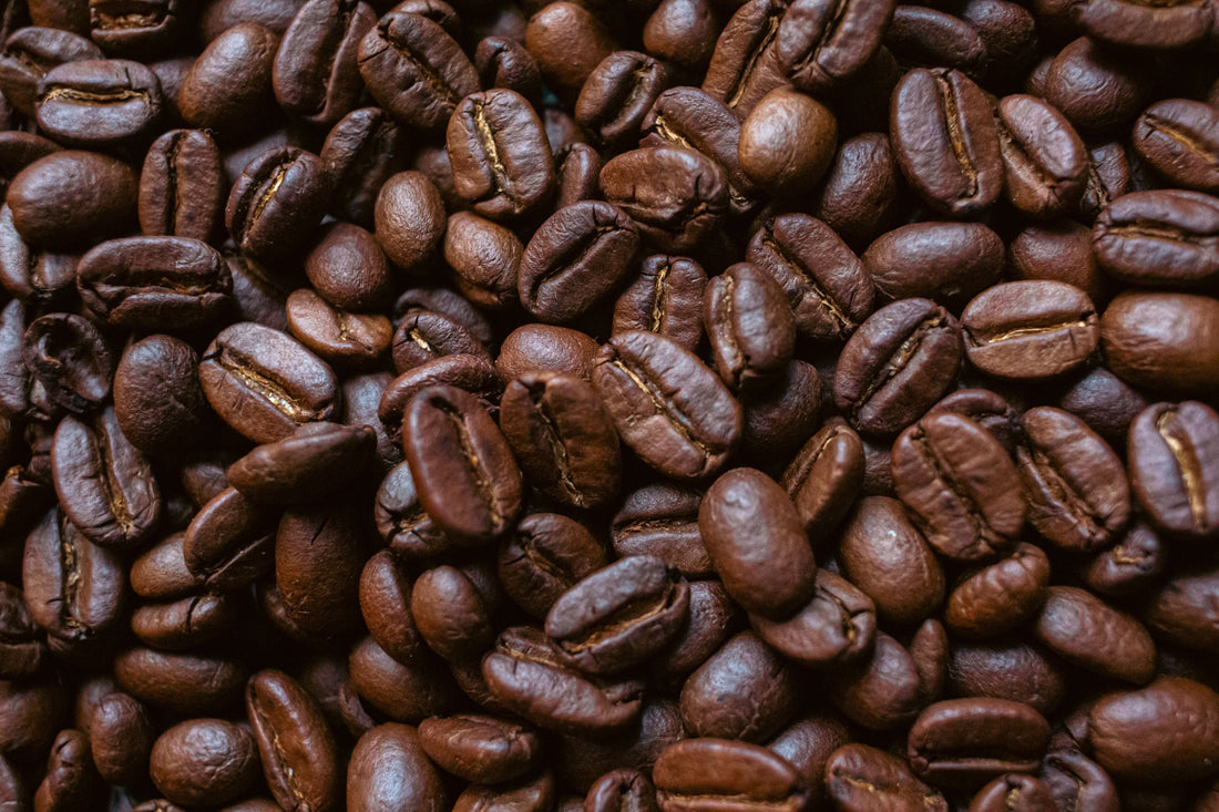 What Is Robusta Coffee? A Complete Guide to Taste, Caffeine, and Uses