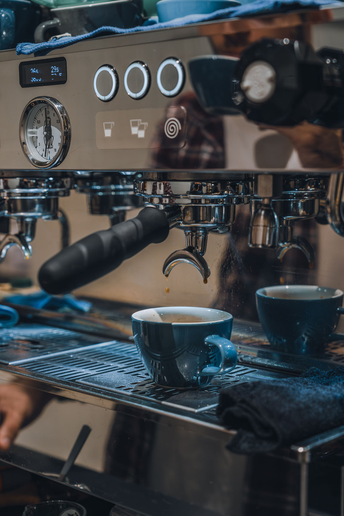 The Art of Brewing: Mastering Temperature and Conditions