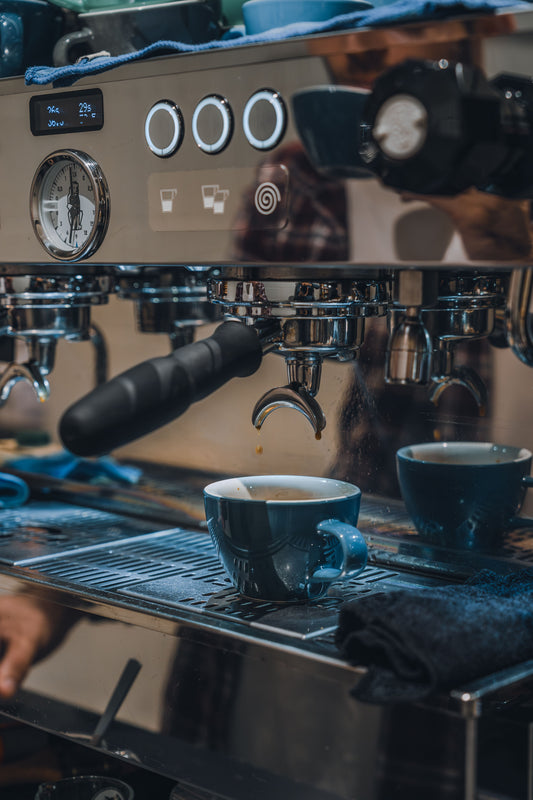 The Art of Brewing: Mastering Temperature and Conditions